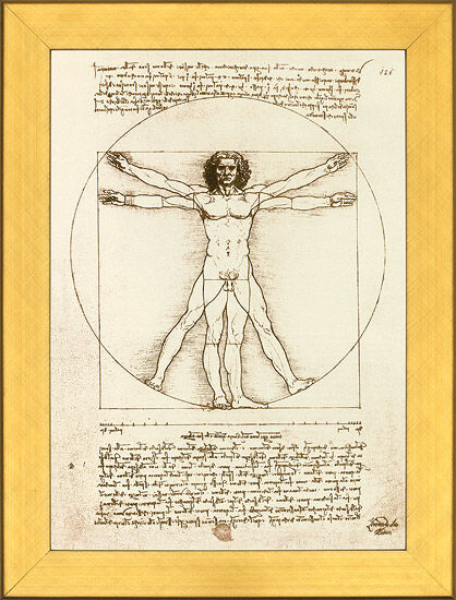 Beeld "Verhoudingsschema van de menselijke figuur volgens Vitruvius", ingelijst von Leonardo da Vinci