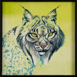 Quadro "Series Bright Spot I Lynx" (2026) (Pezzo unico)
