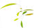 Ceiling mobile "Little Green Leaf"