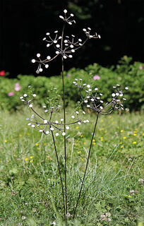 Garden stake flower set "White Blossoms", 3-pcs.