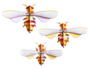 3D wandobjecten "Honey Bees" van gerecycled karton, DIY, set van 3 van studio ROOF