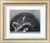 Picture "Raccoon", framed