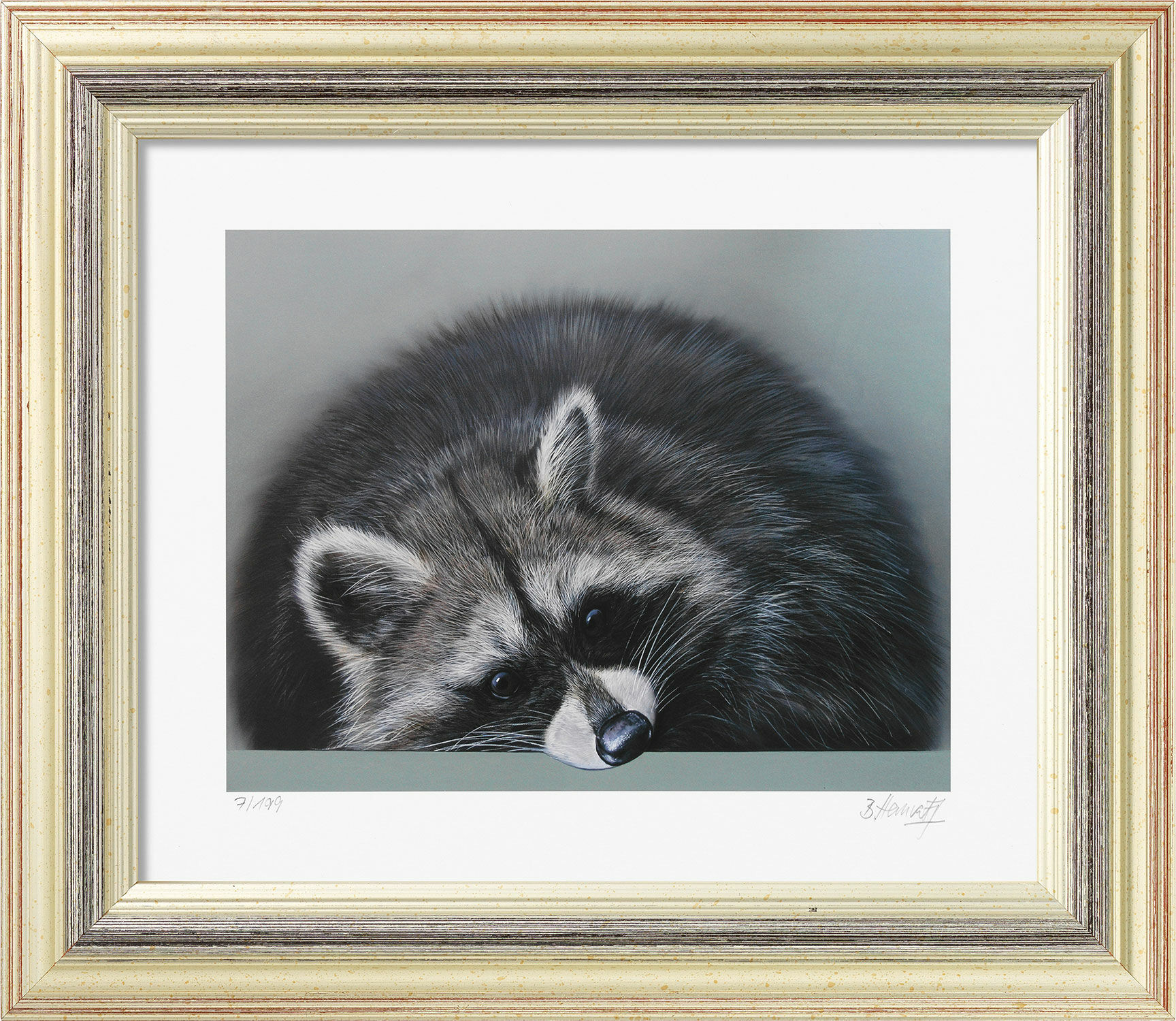 Picture "Raccoon", framed by Bernd Hanrath