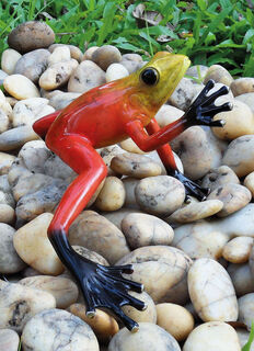 Scultura da giardino "Rana della foresta pluviale", in bronzo