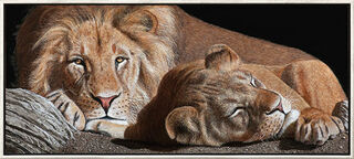 Picture "Lions", framed
