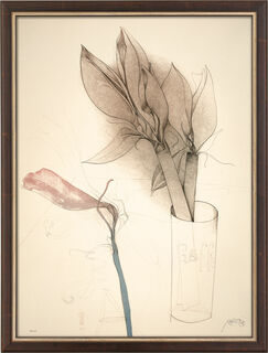 Picture "Amaryllis and Gaff" (1987), framed