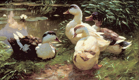 Picture "Ducks at the Water Lily Pond", on stretcher frame by Alexander Koester