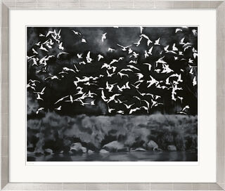 Tableau "Oiseaux" (1964), Dans cadre argenté
