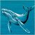 Picture "Series Bright Spot | Blue Whale" (2026) (Unique piece)
