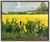 Tableau "Field of Rape I (Yellow Shines at Nieby)" (2009), encadrée