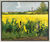 Bild "Rapsfeld I (Gelb leuchtet bei Nieby)" (2009), gerahmt