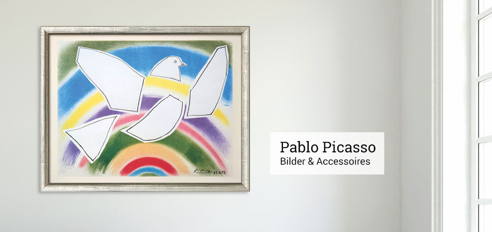 amSlider_Picasso_desktop6