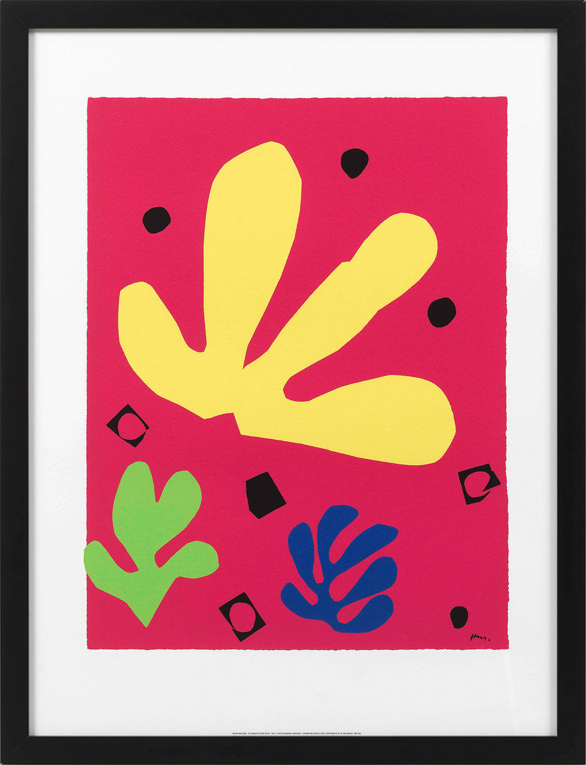 Bild "Elements Végetaux", gerahmt von Henri Matisse