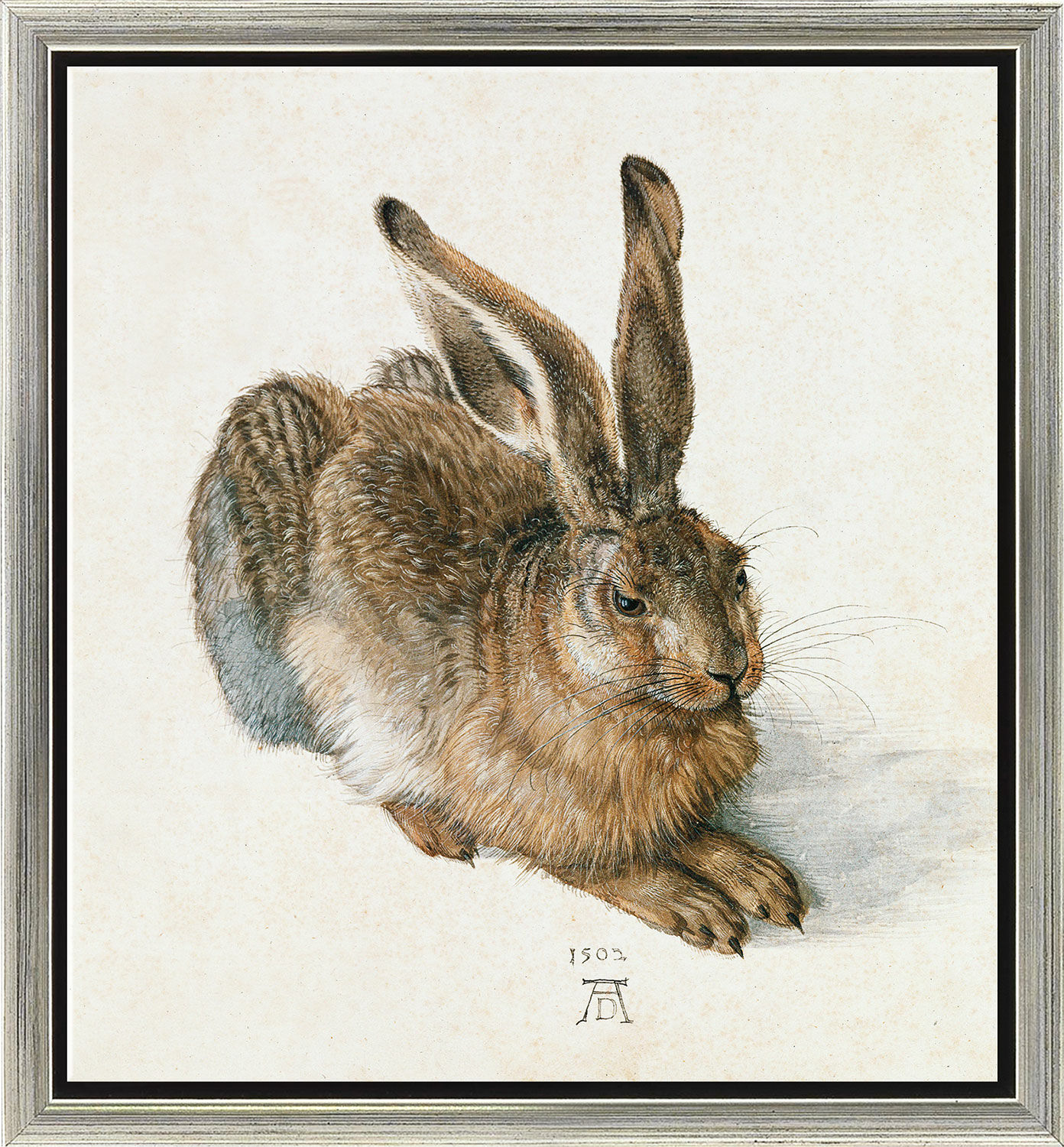 Picture "Young Hare" (1502), silver-coloured framed version by Albrecht Dürer