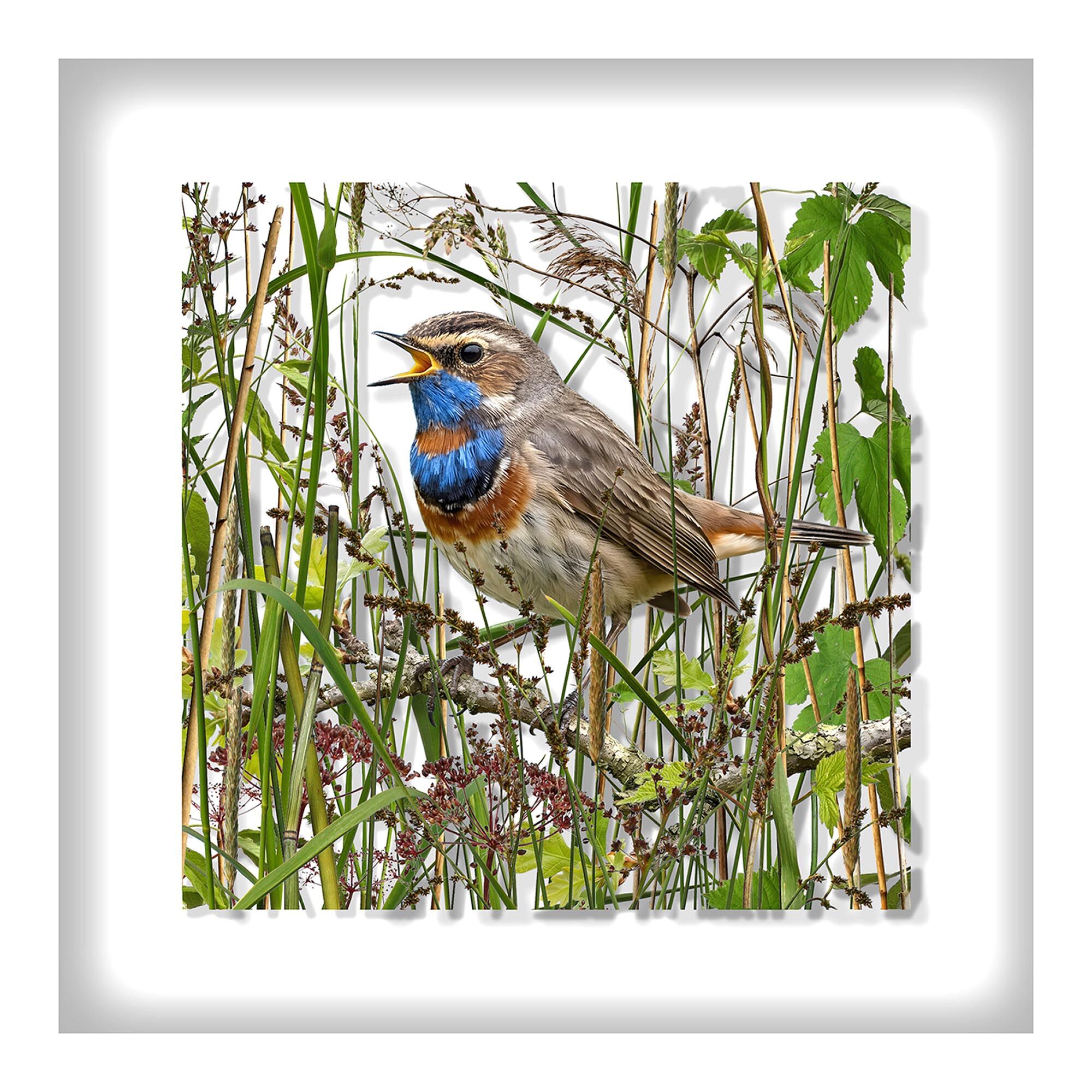 Obraz „Bluethroat” (2026) autorstwa Andreas Lutherer