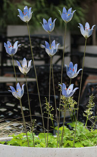 Gartenstecker-Blumenset "Glockenblume", 10-teilig