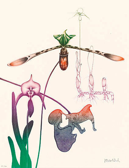Bild "Orchidee III", WVZ-Nr. 726, ungerahmt von Paul Wunderlich