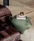 Tavolino "Sidepig olivegreen" (per uso interno ed esterno) – progettato da Timo Keultjes e Diederik Dam di  Werkwaardig