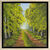 Cuadro "Beech Avenue" (2026) (Original / pieza única), enmarcado