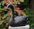 Garden sculpture "Sitting Swan" (without pedestal), bronze