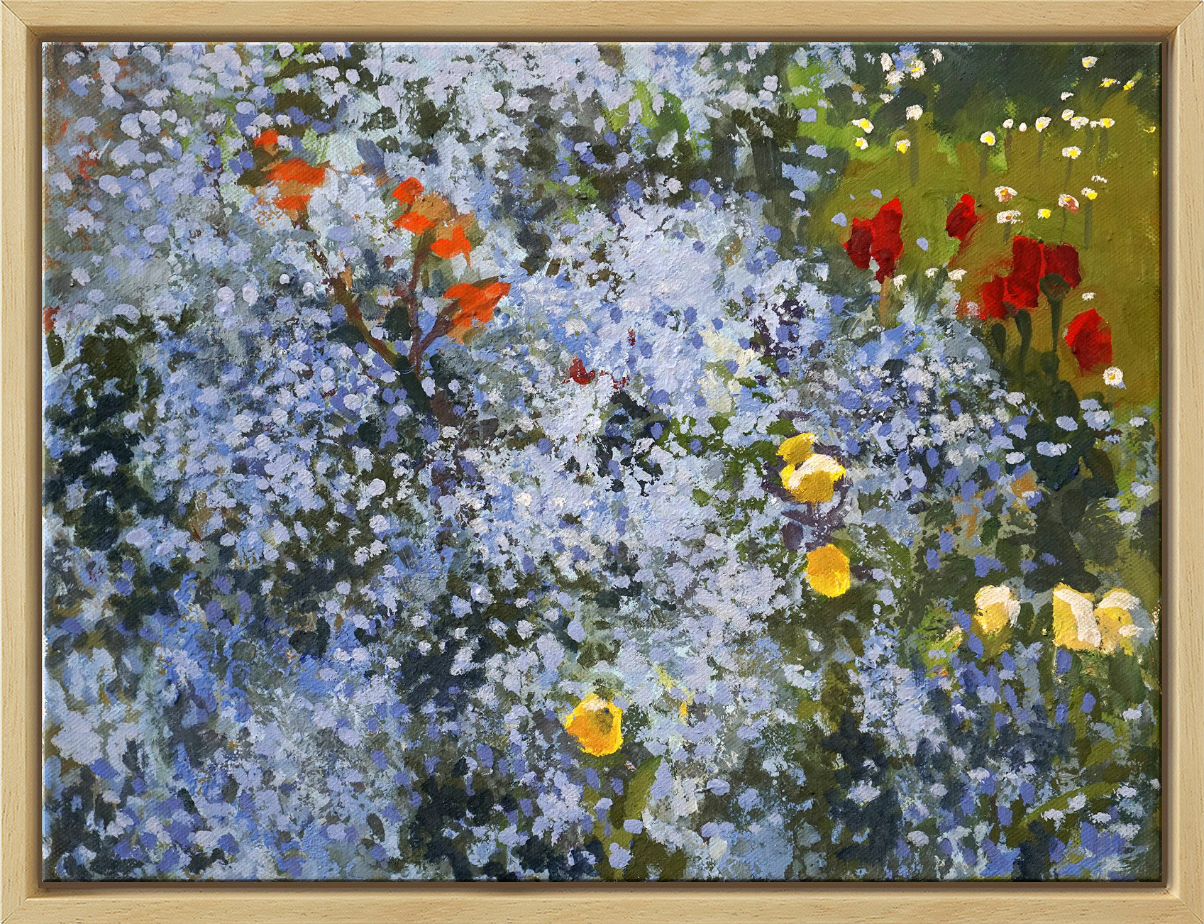 Picture " Forget-Me-Not and Poppy " (2020) (Original / Unique piece), framed by Frank Suplie