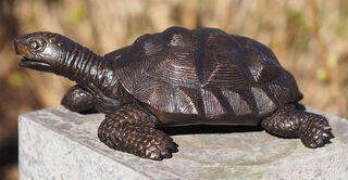 Tuinbeeld "Schildpad", brons