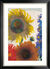 Bild "Sonnenblumen und Rittersporn" (um 1935), Version schwarz-silberfarben gerahmt