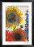 Bild "Solrosor och riddarsporrar" (ca 1935), svart och silverfärgad inramad version