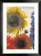 Bild "Solrosor och riddarsporrar" (ca 1935), svart och silverfärgad inramad version av Emil Nolde