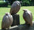 Sæt af tre haveskulpturer "Ravne", keramik