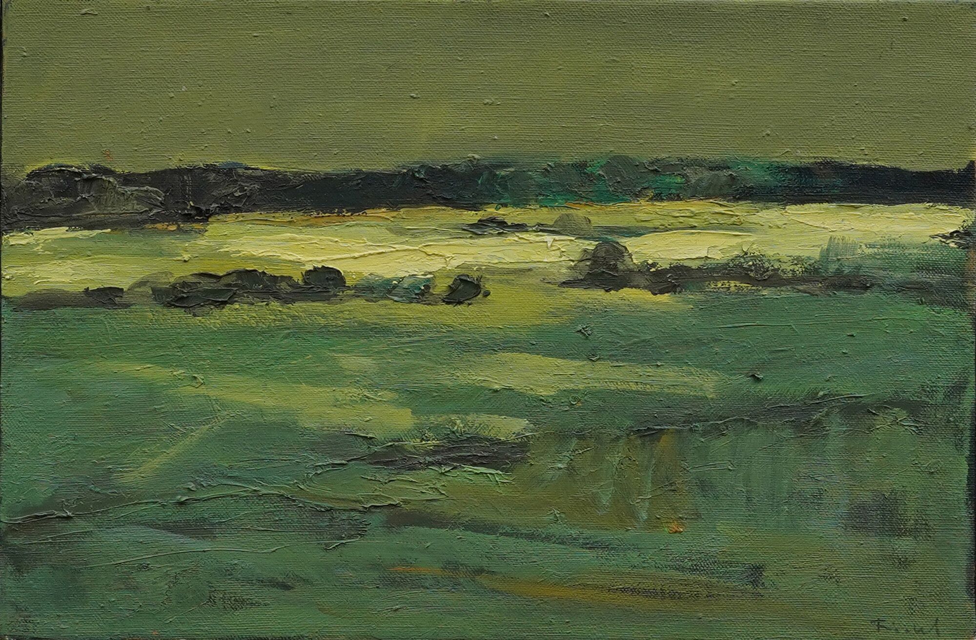 Quadro "Luch in Havelland" (2011) (pezzo unico) di Lutz Friedel