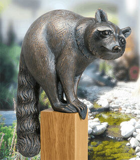 Tuinbeeld "Wasbeer, kijkend" (versie zonder sokkel), brons