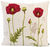 Cushion cover "Poppies II"