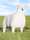 Designová stolička / stolek "The Sheep" v životní velikosti (vnitřní i venkovní), krémově-bílé provedení od Goodnight Light