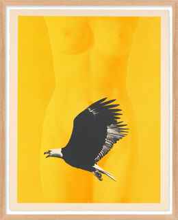 Picture "Eagle Beaver" (1969) by Mel Ramos