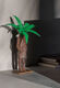 Socha "Herbarium II - Palm", bronz od Raffaella Benetti