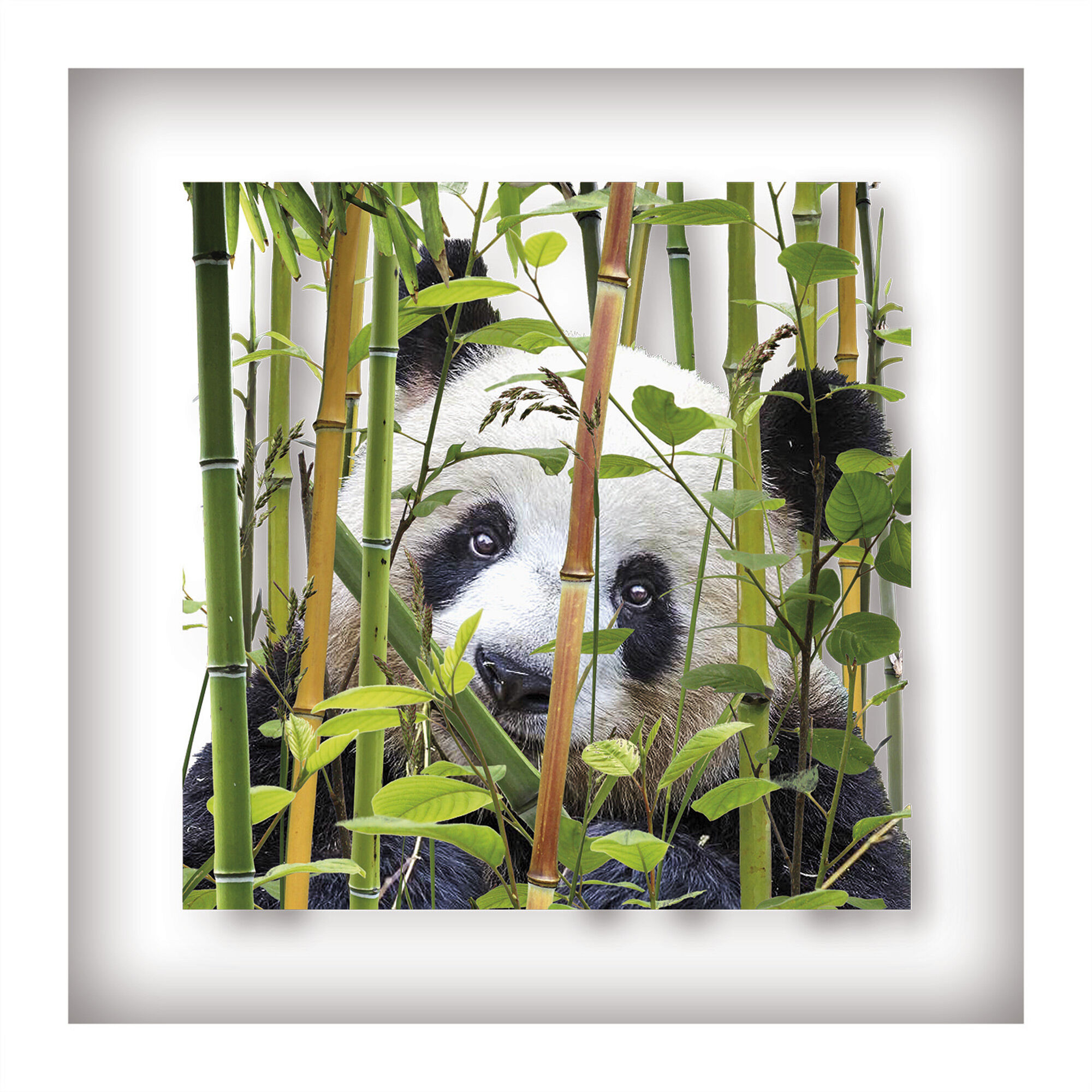 Picture "Panda" (2018) by Andreas Lutherer