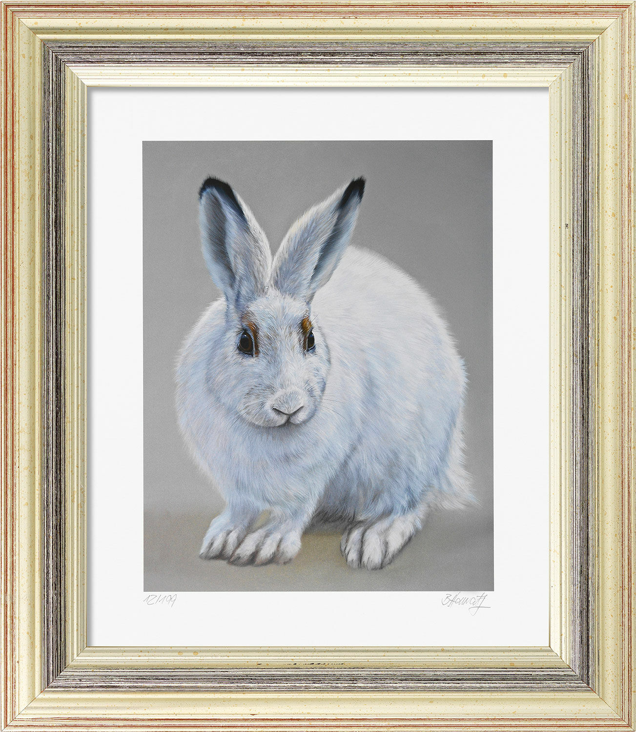Picture "Snow Hare", framed by Bernd Hanrath