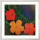 Picture "Flowers" (1999), framed by Andy Warhol