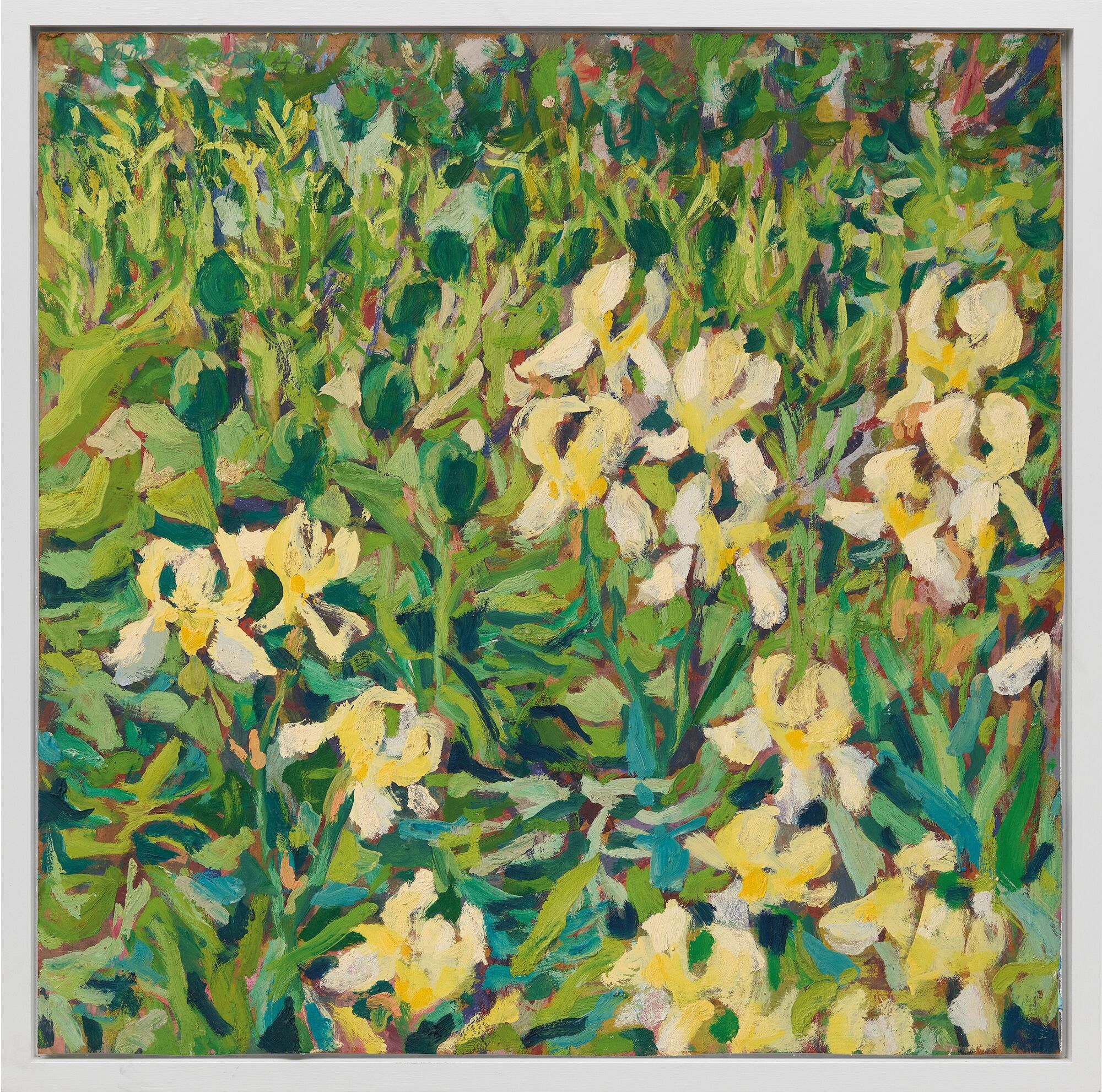 Schilderij "Witte Iris" (2007) (Uniek stuk) van Theodor Gerkens