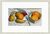 Bild "Stillleben mit Orangen, Bananen, Zitronen und Tomate" (1906), gerahmt
