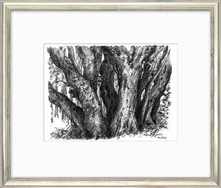 Picture "Beech Group" (2006) - from the picture cycle "Diary of Moen", framed by Günter Grass