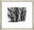 Picture "Beech Group" (2006) - from the picture cycle "Diary of Moen", framed