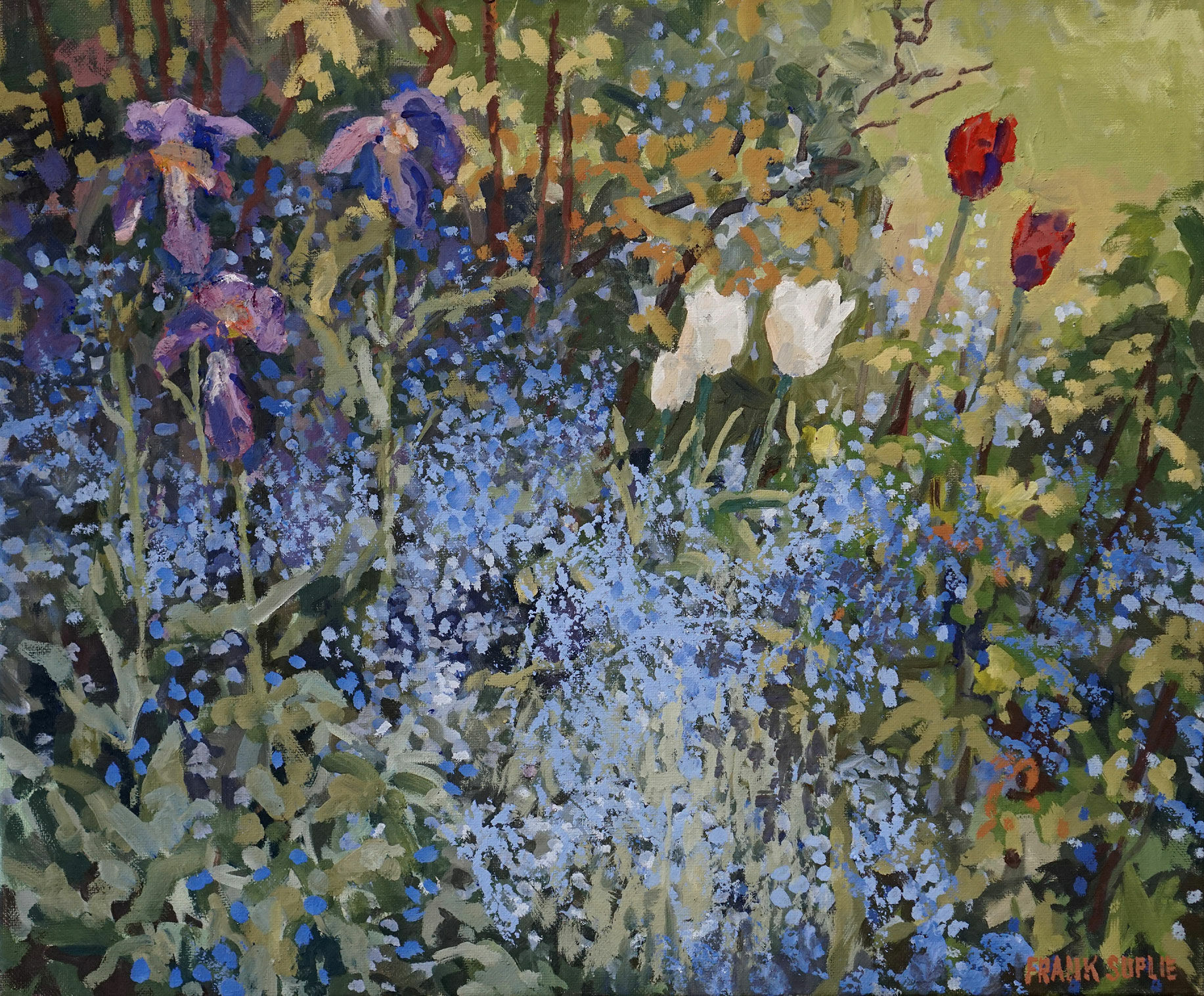 Picture " Forget-Me-Not, Iris and Tulips" (2020) (Original / Unique piece), on stretcher frame by Frank Suplie