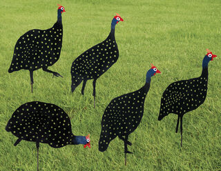 Garden stakes / silhouettes "Guinea Fowls", 5-pcs.
