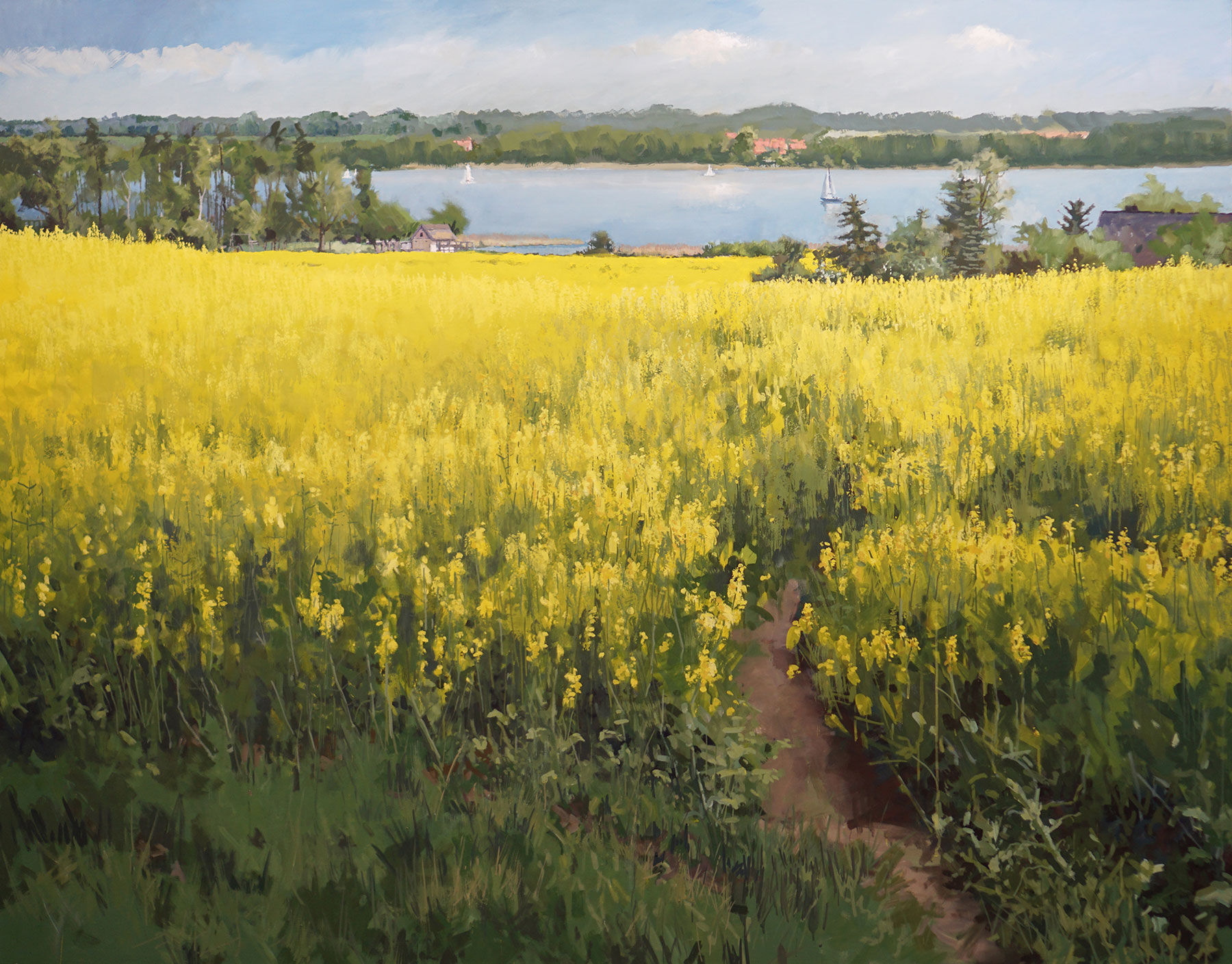 Bild "Großes Rapsfeld, Ratzeburger See" (2017) (Original / Unikat), auf Keilrahmen von Frank Suplie