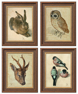 Set of 4 animal pictures, framed