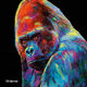 Bild "Gorilla" von PD Moreno