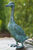 Scultura da giardino "Anatra corridore indiano", bronzo