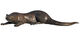 Escultura de jardín "Nutria", bronce de Kurt Arentz